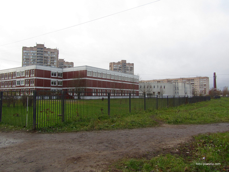 Школа № 621 пос. Металлострой